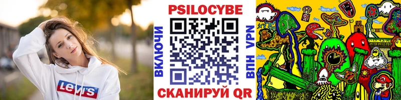 ОМГ ОМГ вход  Чёрмоз  Галлюциногенные грибы ЛСД  купить закладку 