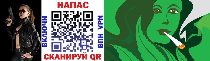 Конопля MAZAR  где продают   МЕГА как войти  Чёрмоз 